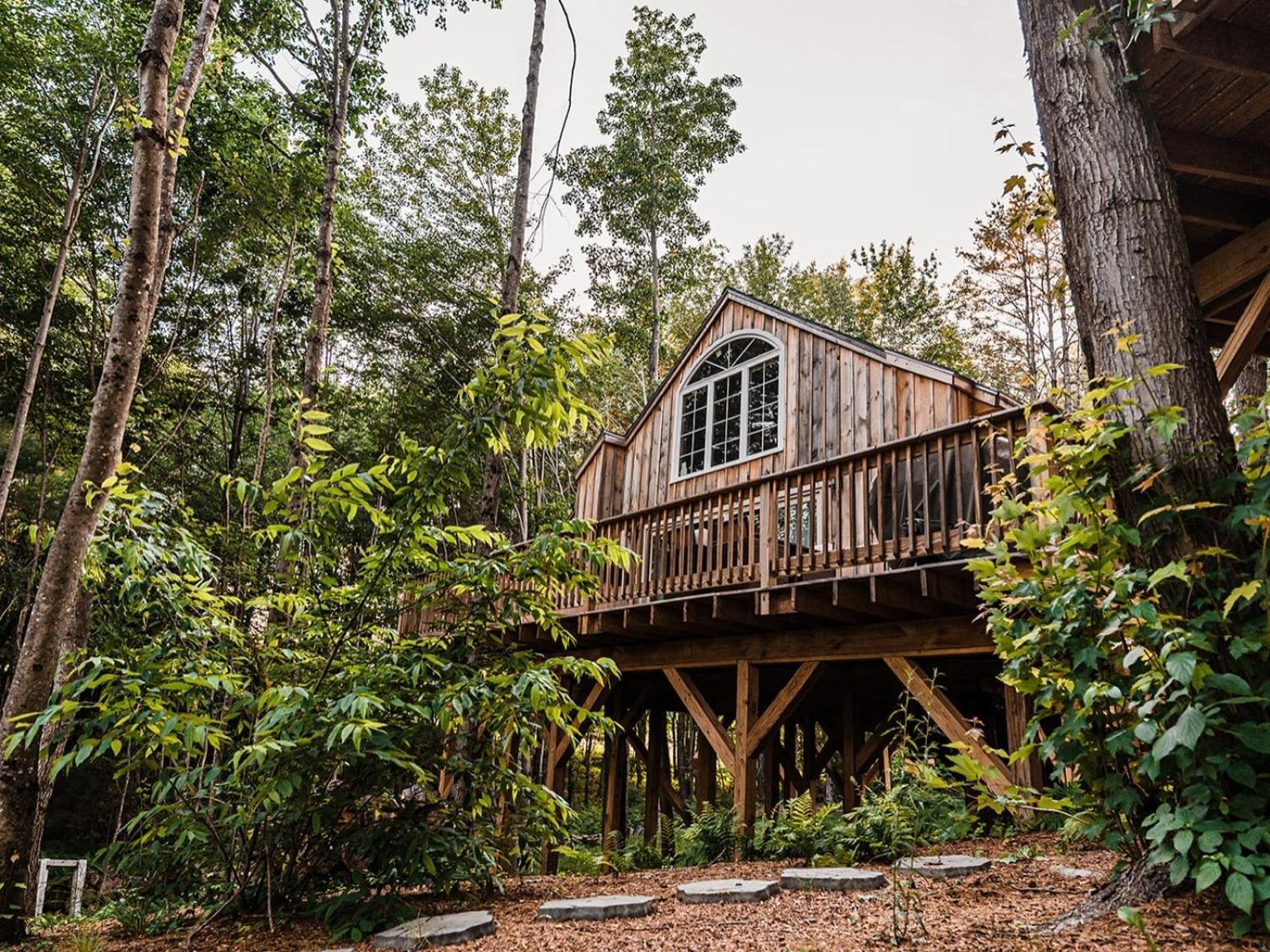 Moonlight Treehouse At Belgrade Hospitality Vila Exterior foto